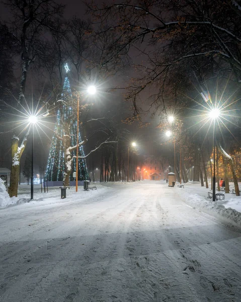 Первый Снег Зимнем Ночном Парке Деревьями Светящимися Фонарями Скамейками Туманную — стоковое фото