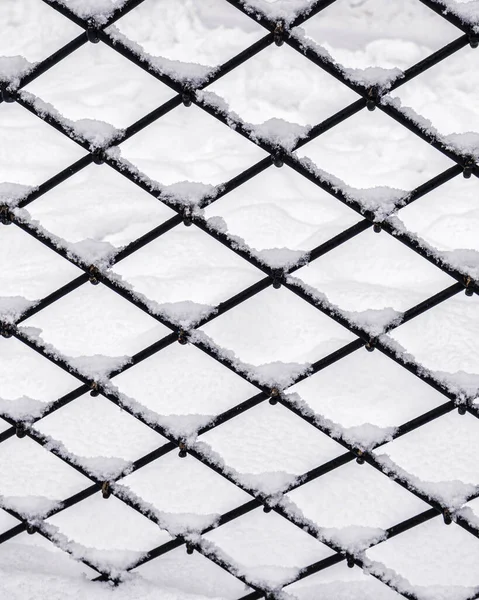 Grade Metal Preto Coberto Com Neve Inverno Conceito Queda Neve — Fotografia de Stock
