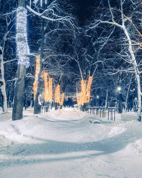 Parque Invierno Por Noche Con Decoraciones Navideñas Linternas Brillantes Pavimento —  Fotos de Stock
