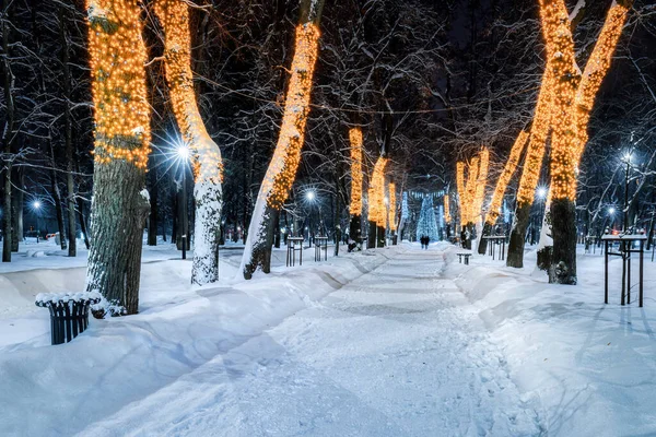 Winterpark Nachts Met Kerstversiering Gloeiende Lantaarns Bestrating Bedekt Met Sneeuw — Stockfoto