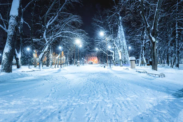 Winter Park Night Christmas Decorations Glowing Lanterns Pavement Covered Snow — Stockfoto