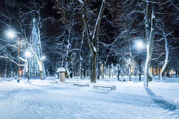Winter park at night with christmas decorations, glowing lanterns, pavement covered with snow and trees.