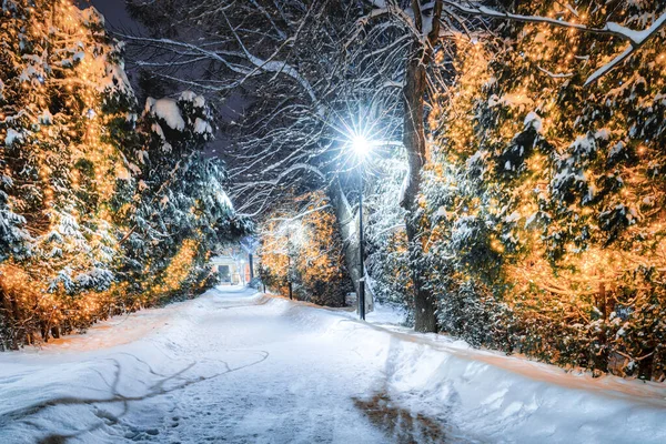 Zimowy Park Nocy Dekoracjami Świątecznymi Świecącymi Latarniami Bruk Pokryty Śniegiem — Zdjęcie stockowe