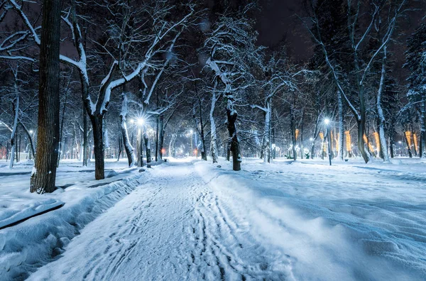 Зимний Парк Ночью Рождественскими Украшениями Светящимися Фонарями Тротуаром Покрытым Снегом — стоковое фото