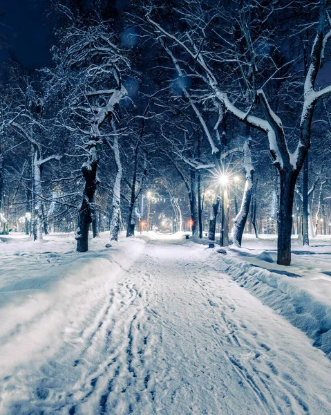 Parque Invierno Por Noche Con Decoraciones Navideñas Linternas Brillantes Pavimento — Foto de Stock