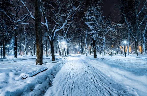Зимний Парк Ночью Рождественскими Украшениями Светящимися Фонарями Тротуаром Покрытым Снегом — стоковое фото