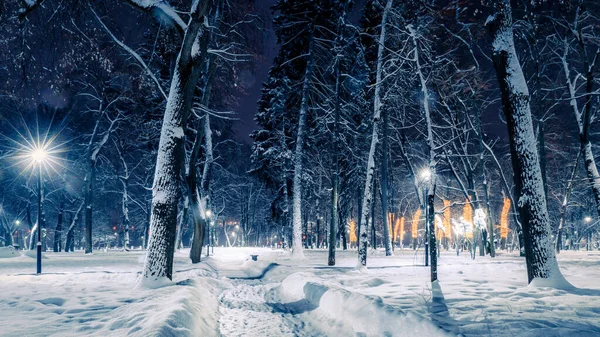 Winter Park Night Christmas Decorations Glowing Lanterns Pavement Covered Snow — Stock Photo, Image
