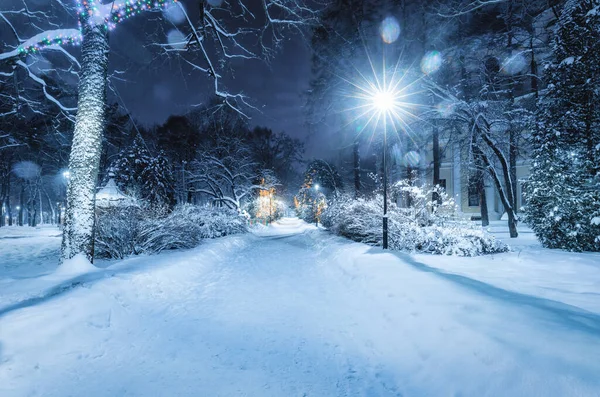 Parc Hiver Nuit Avec Décorations Noël Lanternes Rougeoyantes Trottoir Couvert — Photo
