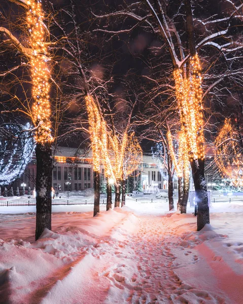 Winterpark Nachts Met Kerstversiering Gloeiende Lantaarns Bestrating Bedekt Met Sneeuw — Stockfoto