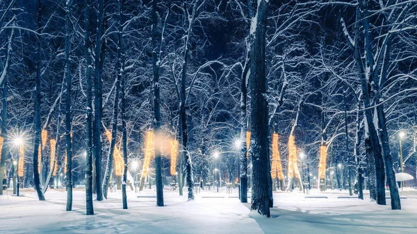 Winterpark Nachts Met Kerstversiering Gloeiende Lantaarns Bestrating Bedekt Met Sneeuw Rechtenvrije Stockfoto's