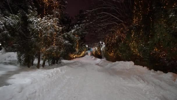 Winterpark 's nachts met kerstversiering, lichtjes en bomen. — Stockvideo