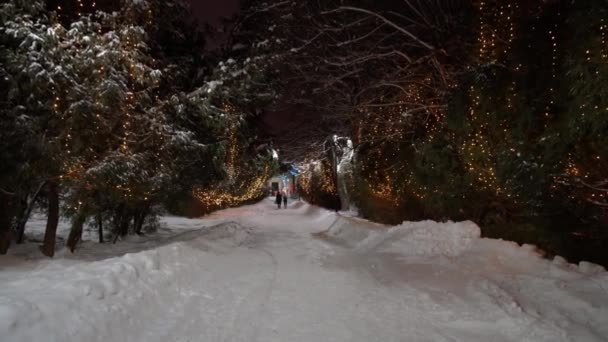 Zimní park v noci s vánoční výzdobou, světly a stromy. — Stock video