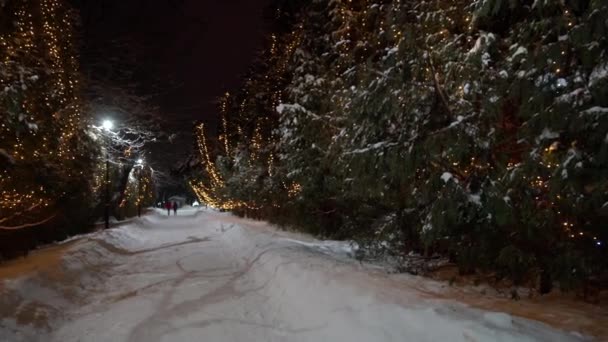 Winterpark 's nachts met kerstversiering, lichtjes en bomen. — Stockvideo