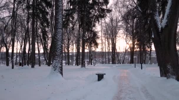 Zachód słońca lub wschód słońca w zimowym parku z drzewami i ławkami pokrytymi śniegiem. — Wideo stockowe