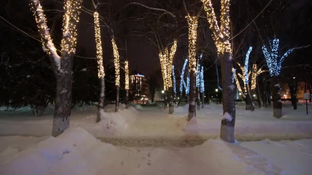 Winterpark 's nachts met decoraties, gloeiende lantaarns en bomen. — Stockvideo
