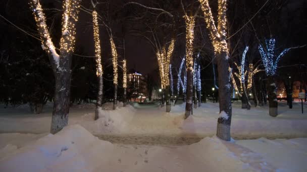 Winterpark 's nachts met decoraties, gloeiende lantaarns en bomen. — Stockvideo