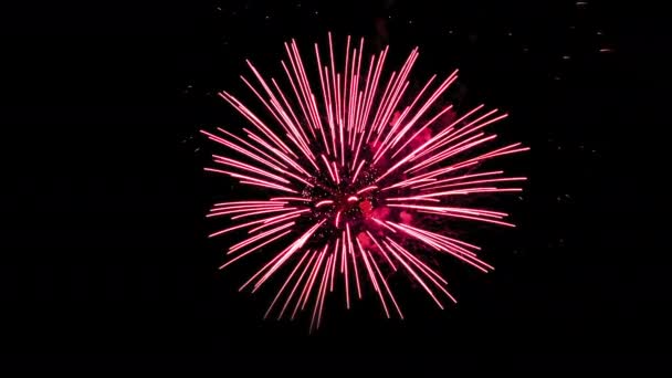 Fuegos artificiales de celebración aislados en el fondo del cielo negro. 4k vídeo en movimiento. — Vídeo de stock