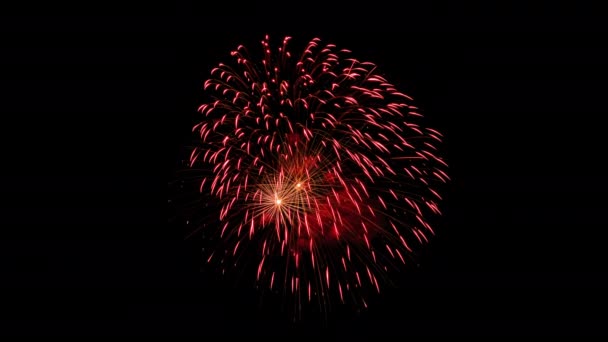 Πυροτεχνήματα εορτασμού απομονώνονται στο φόντο του μαύρου ουρανού. 4k βίντεο κίνησης. — Αρχείο Βίντεο