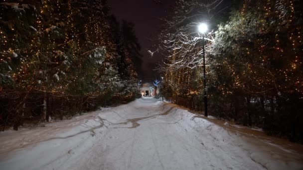 크리스마스 장식, 조명, 나무들이 있는 겨울 공원. — 비디오