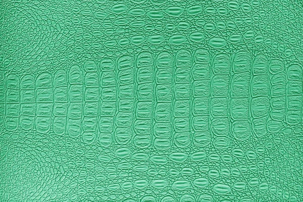 Πράσινη Δερμάτινη Υφή Κροκόδειλου Αφηρημένο Φόντο Για Σχεδιασμό — Φωτογραφία Αρχείου