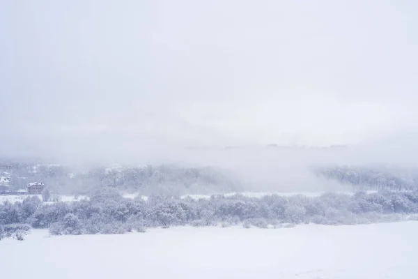 Fryst Flod Dimma Med Snötäckta Träd Mulen Vinterdag — Stockfoto