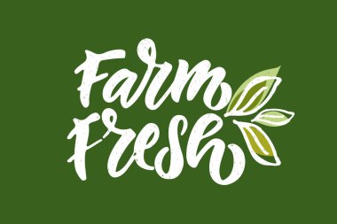 Vejetaryen, vejetaryen, çiğ, eko, biyoloji, doğal, taze, glüten ve GDO besin diyeti tasarımı içeren el yapımı rozetler ve etiketler. Ürün, kafe, restoran ve organik ürünler için organik gıda elementleri belirlendi