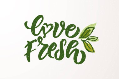 Vejetaryen, vejetaryen, çiğ, eko, biyoloji, doğal, taze, glüten ve GDO besin diyeti tasarımı içeren el yapımı rozetler ve etiketler. Ürün, kafe, restoran ve organik ürünler için organik gıda elementleri belirlendi