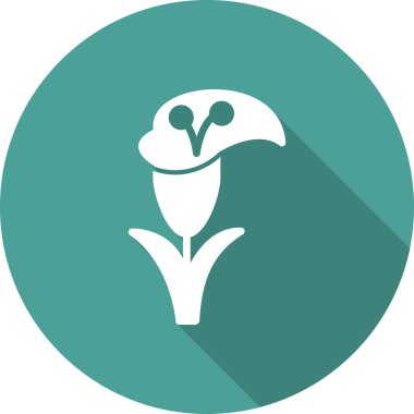 Zambak çiçeği vektör çizim