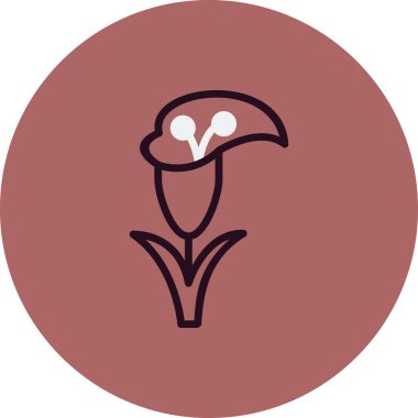 Zambak çiçeği vektör çizim