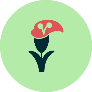 Zambak çiçeği vektör çizim