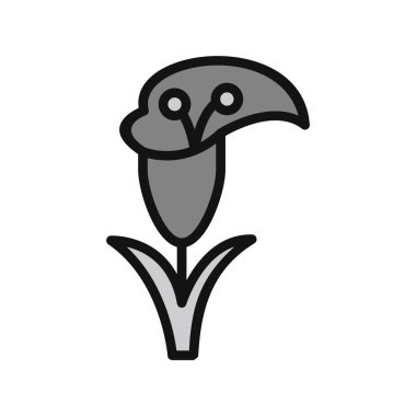 Zambak çiçeği vektör çizim