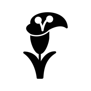 Zambak çiçeği vektör çizim