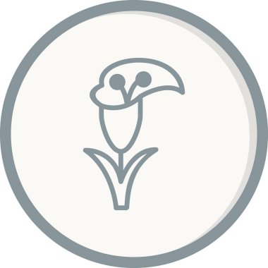 Zambak çiçeği vektör çizim