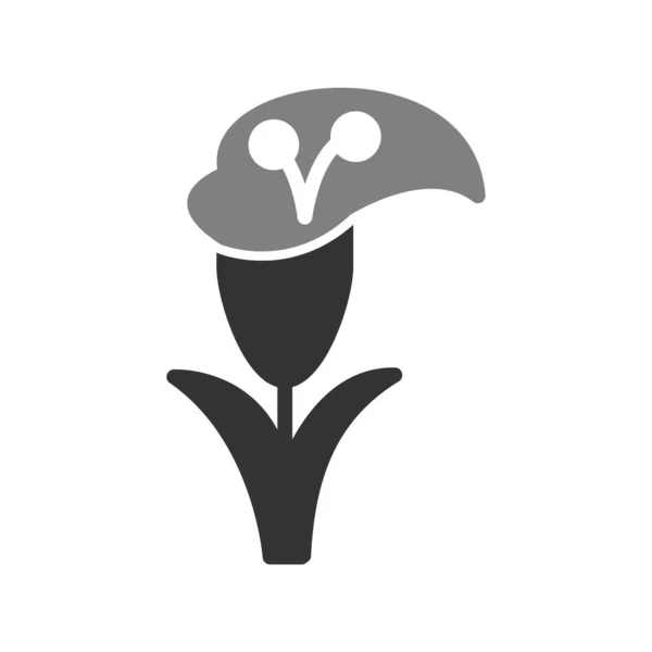 Ilustracja Wektorowa Kwiat Lilia — Wektor stockowy