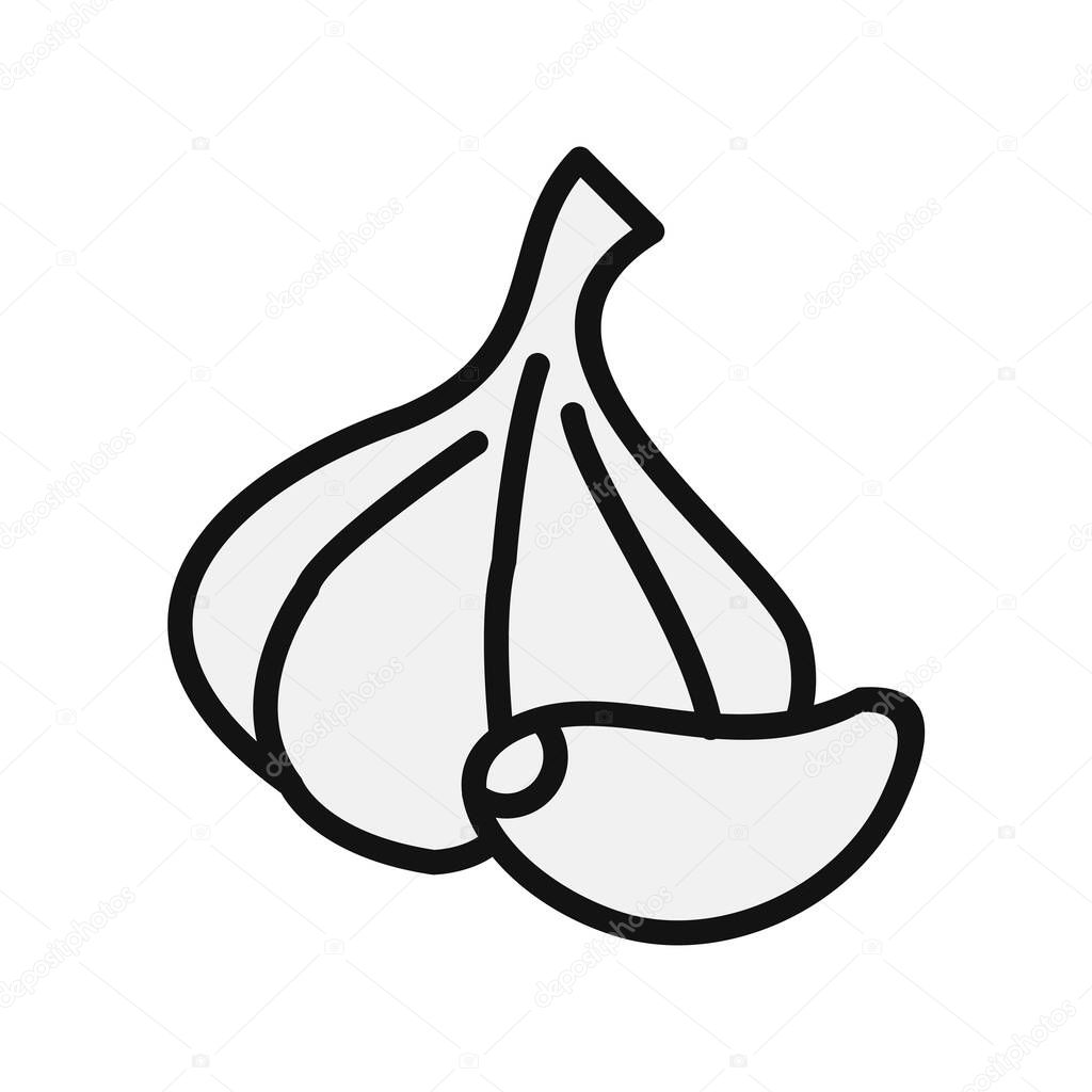 Garlic icon vector illustration
