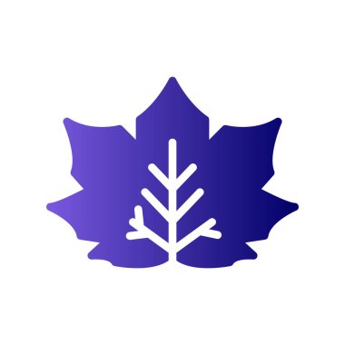 Akçaağaç yaprağı ikon vektörü. İnce çizgi işareti. izole edilmiş sınır sembolü çizimi 