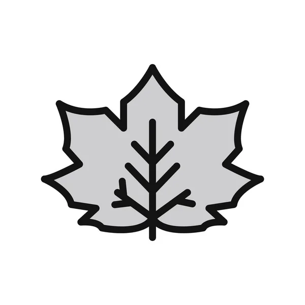 Maple Leaf Icon Vector Thin Line Sign Isolated Contour Symbol — Archivo Imágenes Vectoriales