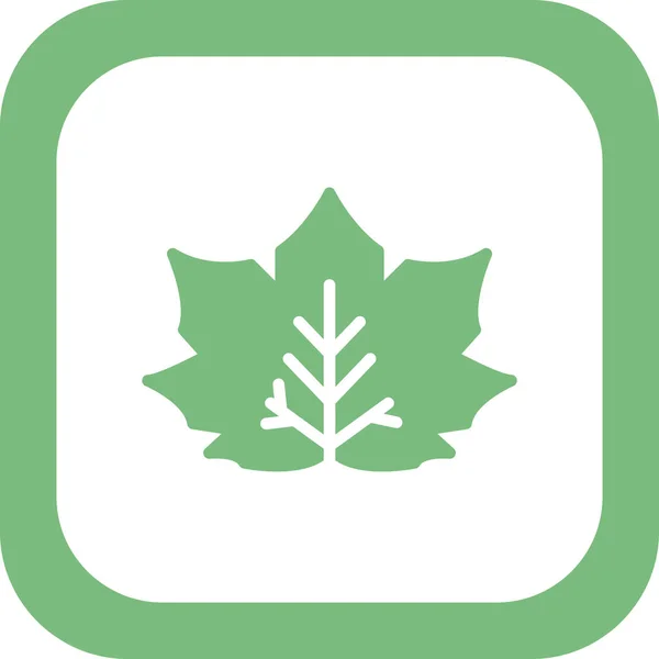 Maple Leaf Icon Vector Thin Line Sign Isolated Contour Symbol — Image vectorielle