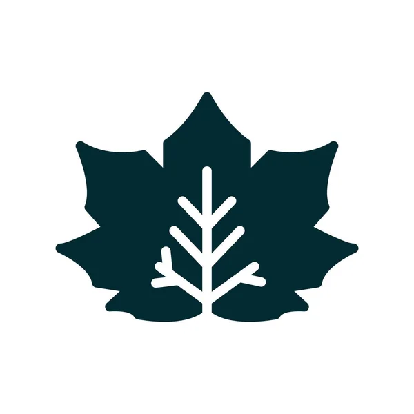 Maple Leaf Icon Vector Thin Line Sign Isolated Contour Symbol — Vettoriale Stock