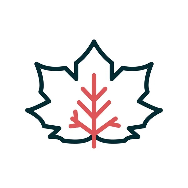 Maple Leaf Icon Vector Thin Line Sign Isolated Contour Symbol — Vettoriale Stock