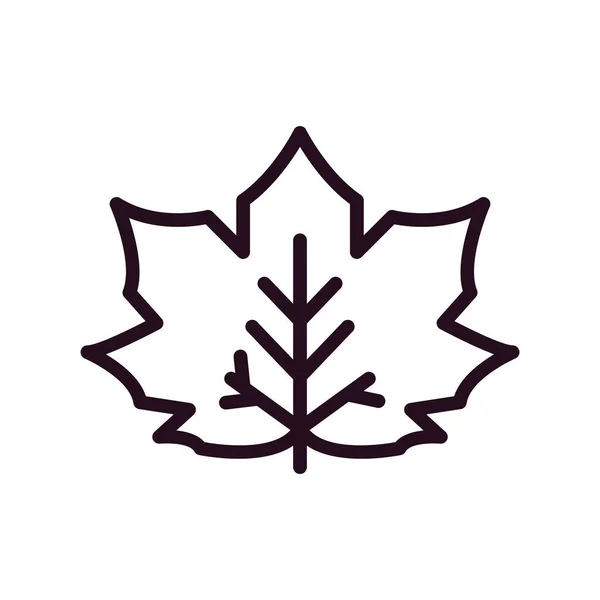 Maple Leaf Icon Vector Thin Line Sign Isolated Contour Symbol — Stockvector