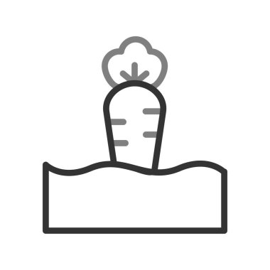 Havuç simgesi, vektör çizimi