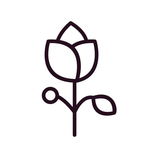 Wektor Ilustracja Ikony Kwiat — Wektor stockowy