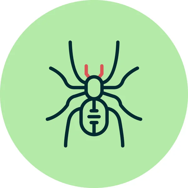Vector Illustration Insect Icon Tarantula — Vetor de Stock