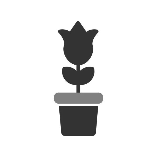 Tulpe Blume Topf Vektor Symbol Illustration — Stockvektor