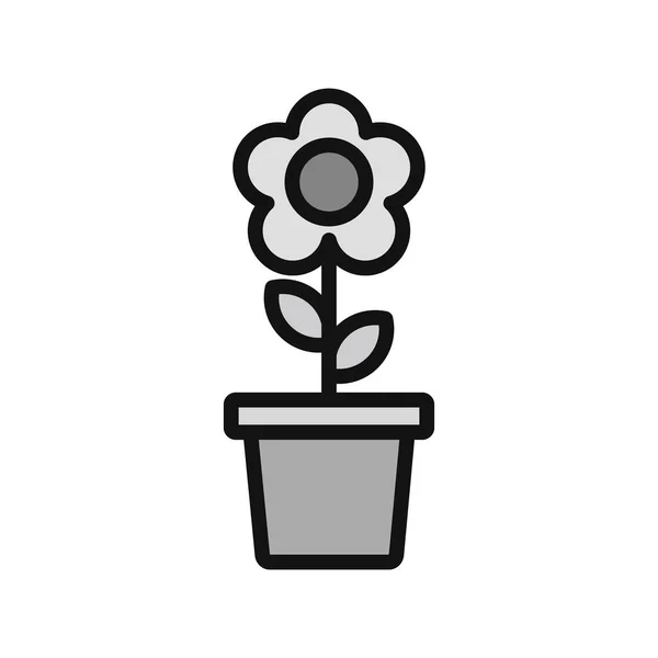 Vektor Illustration Der Blume Symbol — Stockvektor