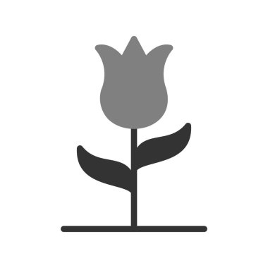 güzel lale çiçeği çizgisi vektör simgesi