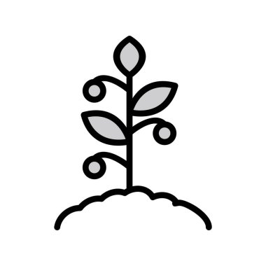 Domates bitkisi simgesi, vektör illüstrasyonu