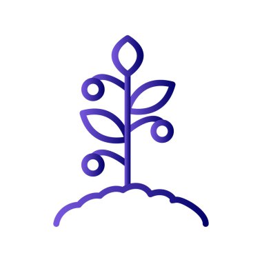 Domates bitkisi simgesi, vektör illüstrasyonu