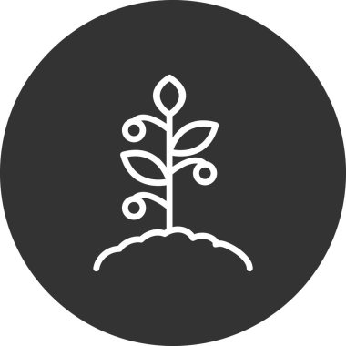 Domates bitkisi simgesi, vektör illüstrasyonu